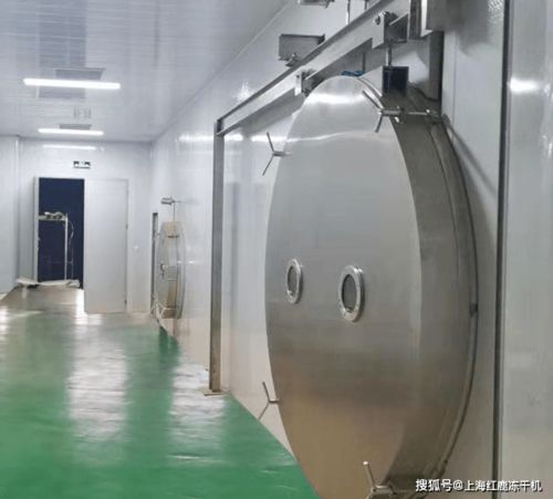 解锁健康喂养新方式 深入了解宠物食品冻干机器