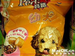 【马鞍山宠友分享】聊聊咱家毛孩子最爱吃的那些宠物食品品牌